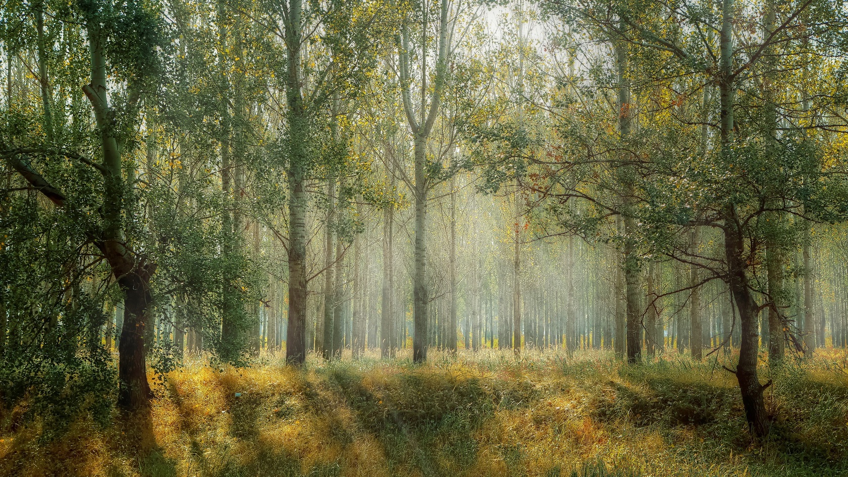 Dag van het Landschapspark