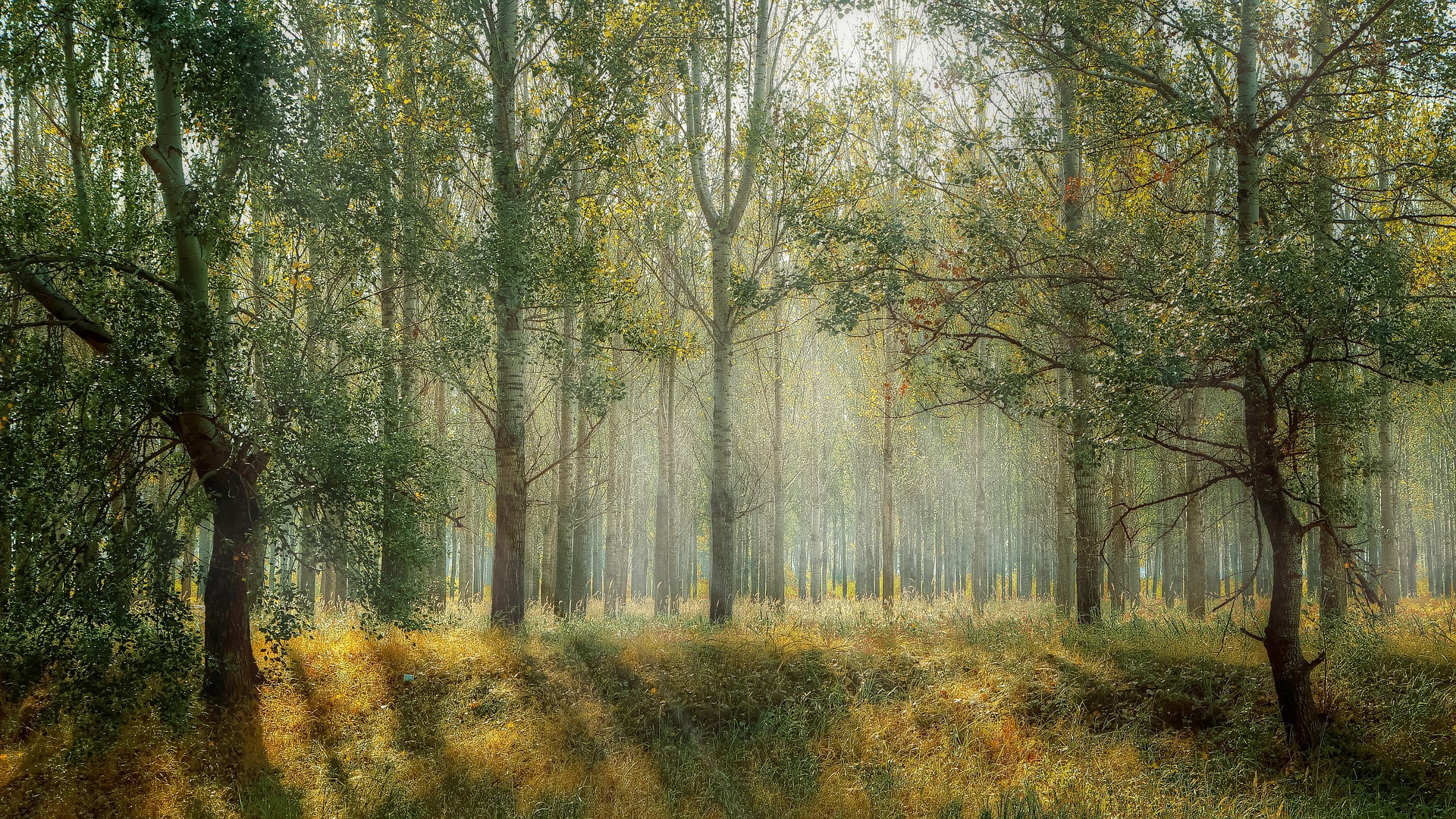 Europese Dag van Natura2000