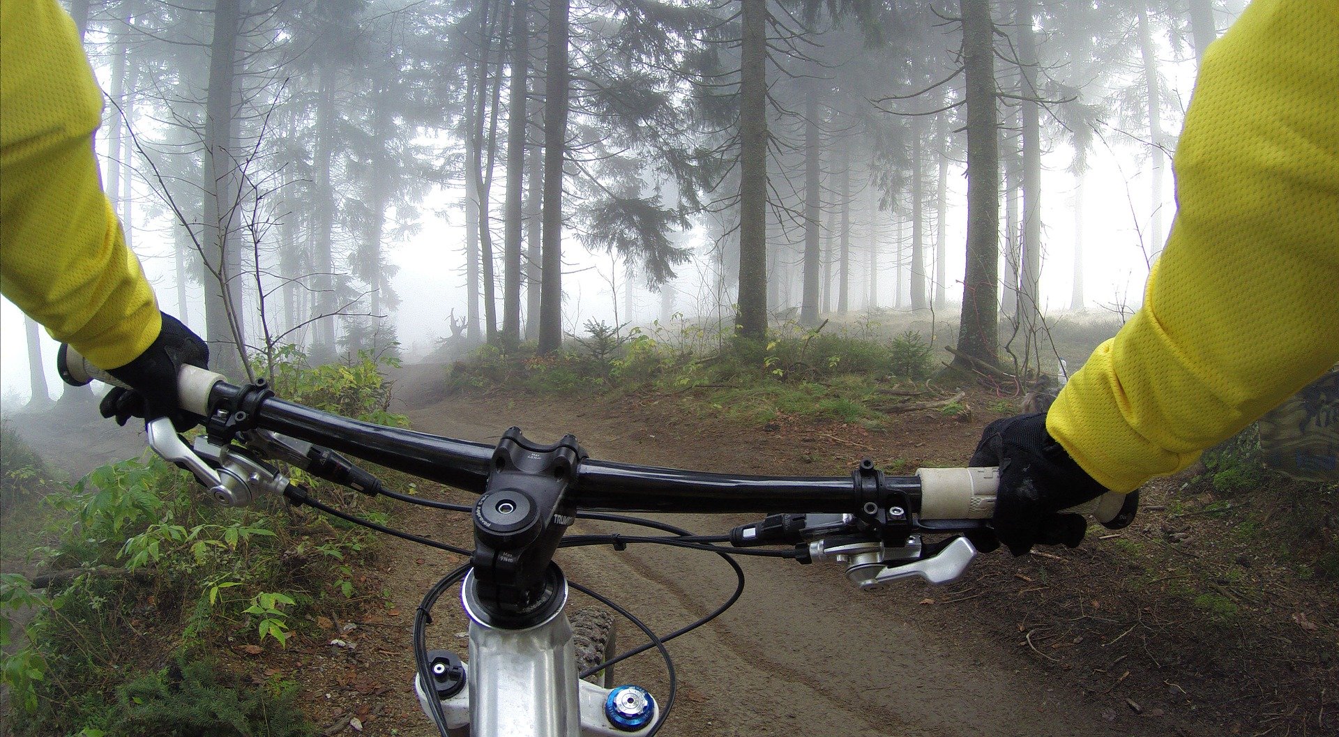 Wereld Fietsdag
